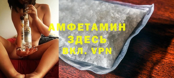 дживик Бронницы