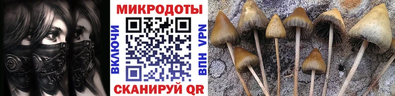 blacksprut зеркало  Щёлково  Галлюциногенные грибы прущие грибы 